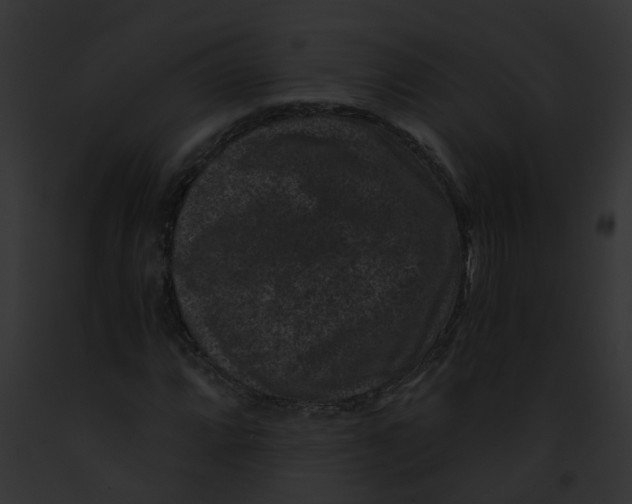 X0000091881064200710031116