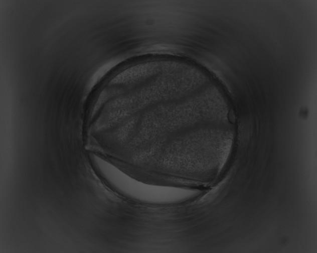 X0000091881066200710031116