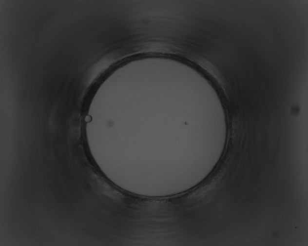 X0000091881067200710031116