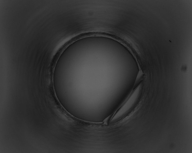 X0000091881069200710031116