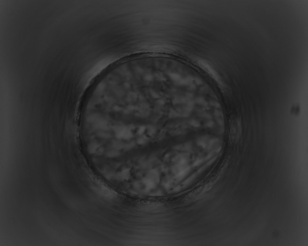 X0000091881071200710031116