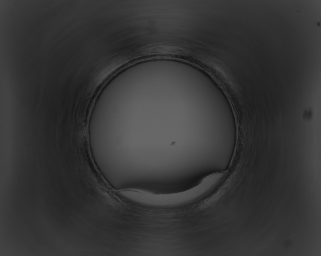 X0000091881073200710031116