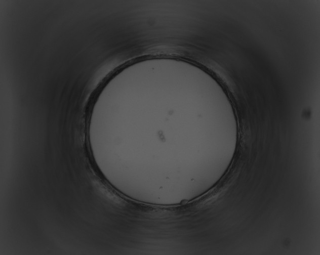 X0000091881075200710031116