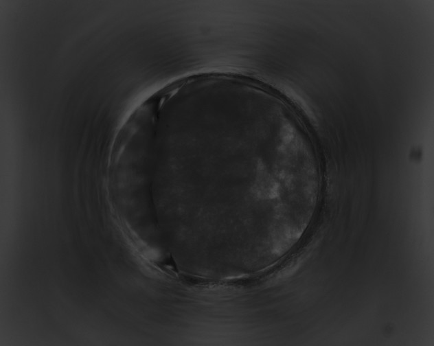 X0000091881077200710031116