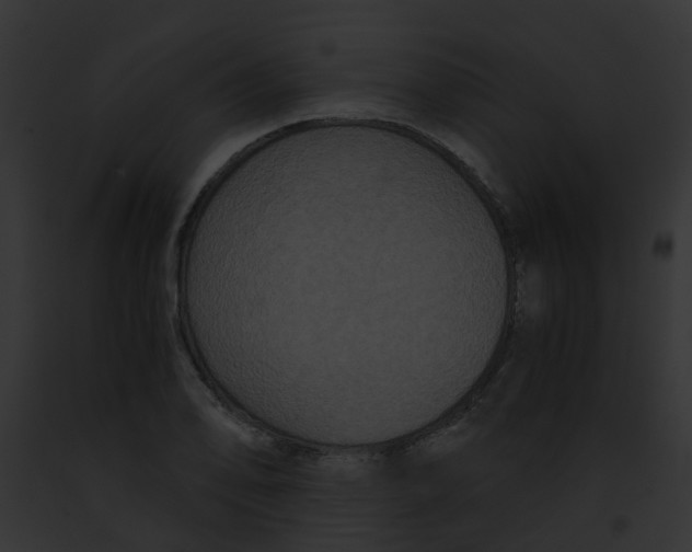 X0000091881078200710031116