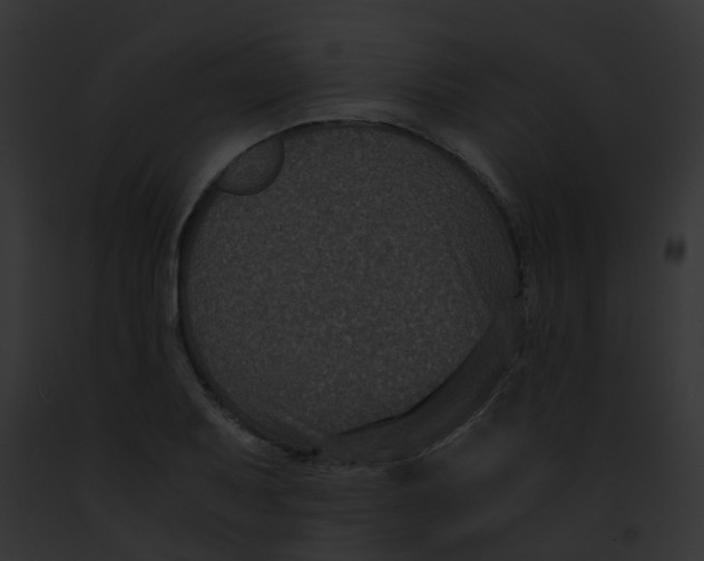 X0000091881079200710031116