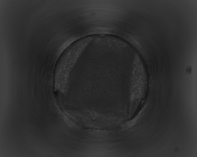 X0000091881081200710031116