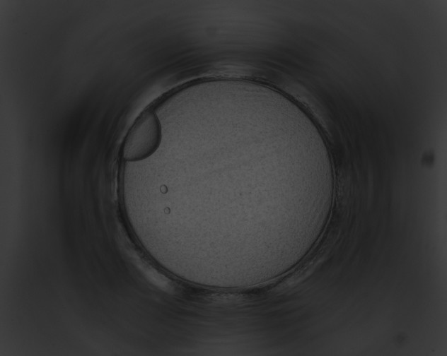 X0000091881083200710031116