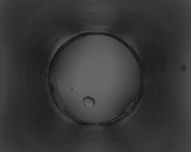 X0000091881085200710031116