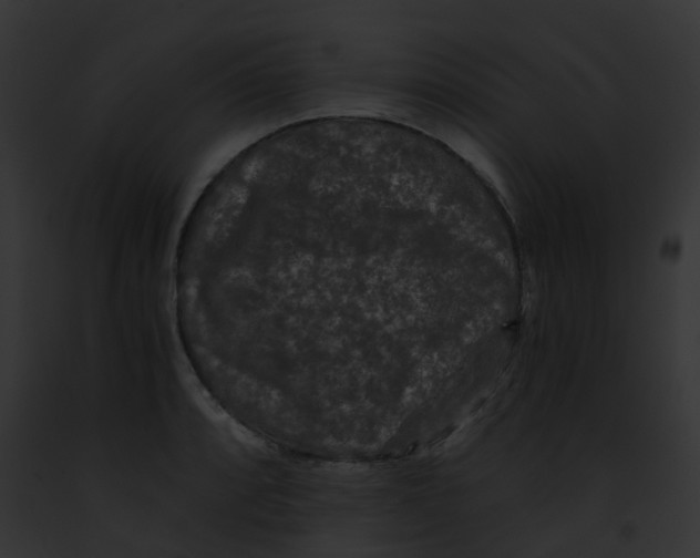 X0000091881088200710031116