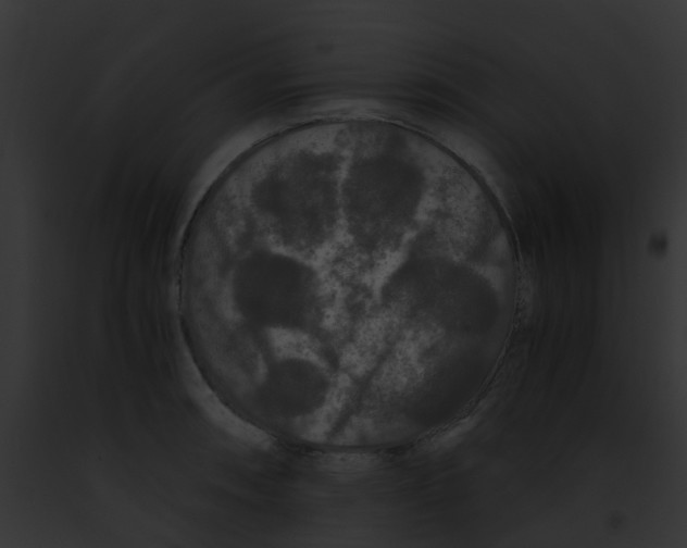 X0000091881090200710031116