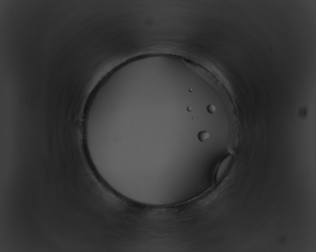 X0000091881093200710031116