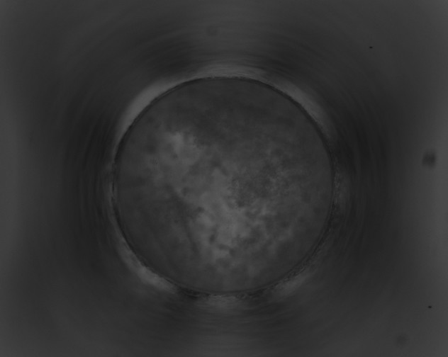 X0000091881094200710031116