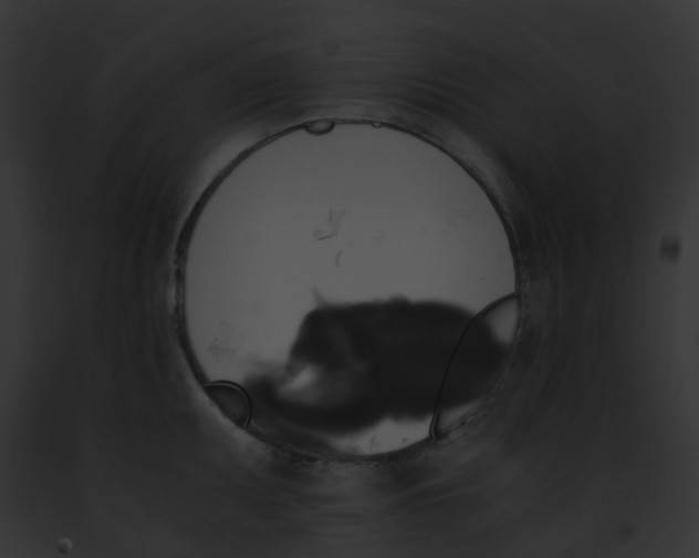 X0000091881095200710031116