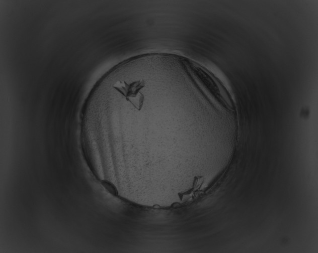 X0000091881096200710031116