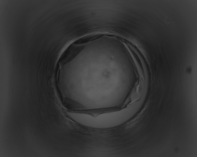 X0000091881097200710031116