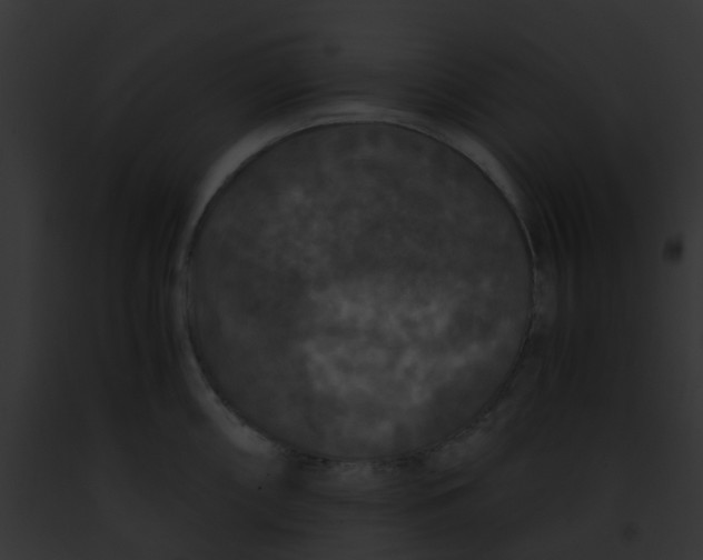 X0000091881098200710031116