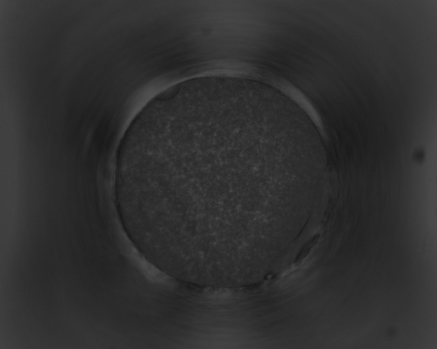 X0000091881099200710031116