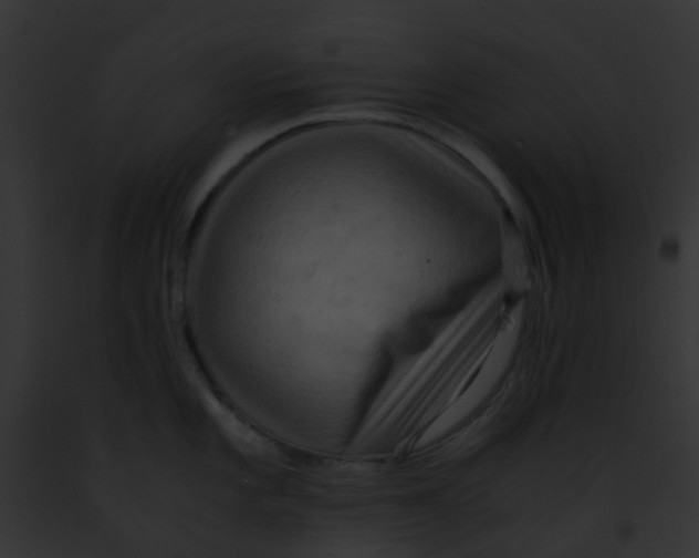 X0000091881101200710031116