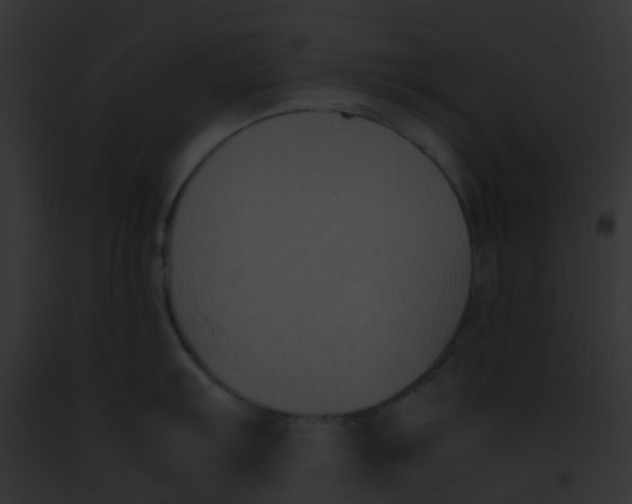 X0000091881103200710031116