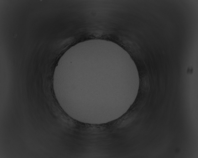 X0000091881105200710031115