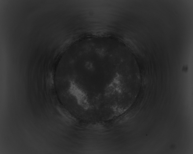 X0000091881106200710031115