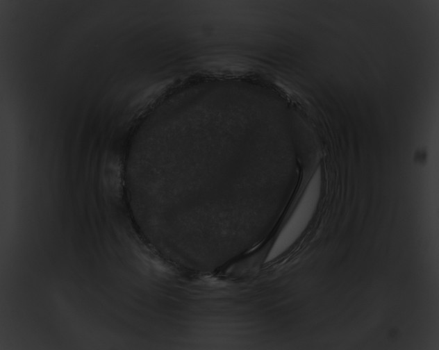 X0000091881108200710031115