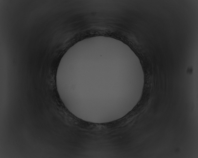 X0000091881109200710031115