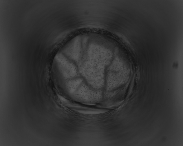 X0000091881110200710031115