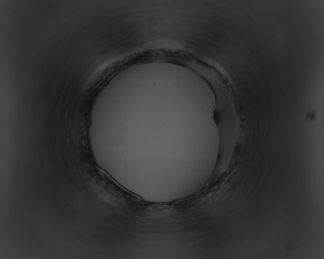 X0000091881112200710031115