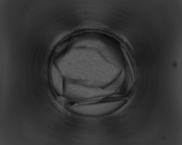 X0000091881114200710031115