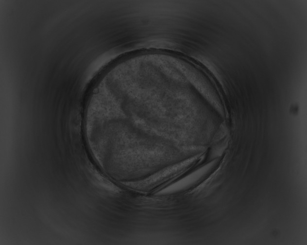 X0000091881115200710031115