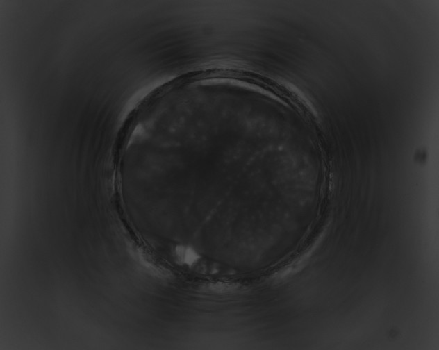 X0000091881117200710031115