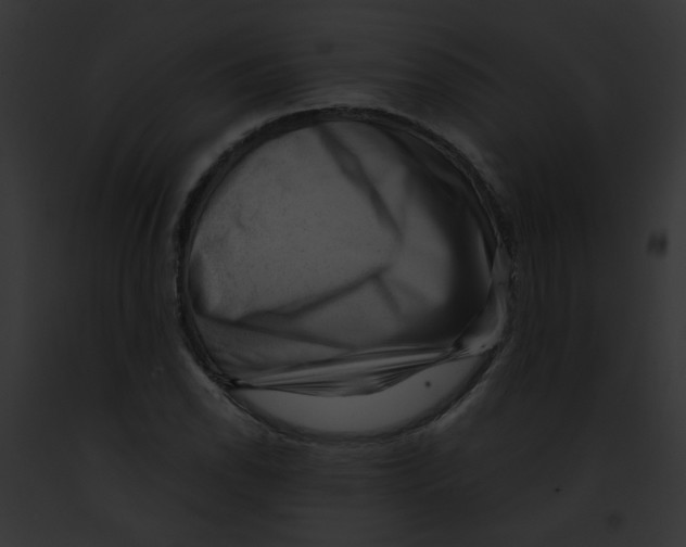 X0000091881118200710031115