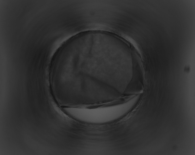 X0000091881120200710031115