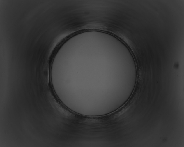 X0000091881123200710031115