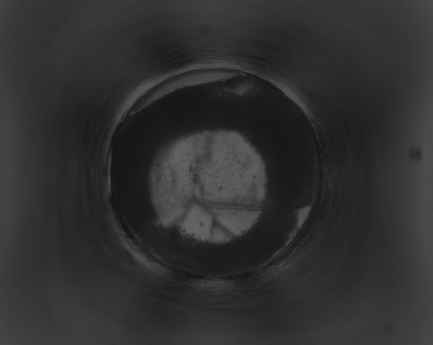 X0000091881127200710031115