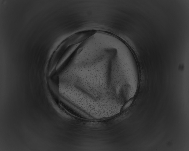 X0000091881128200710031115