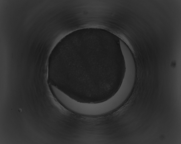 X0000091881132200710031115