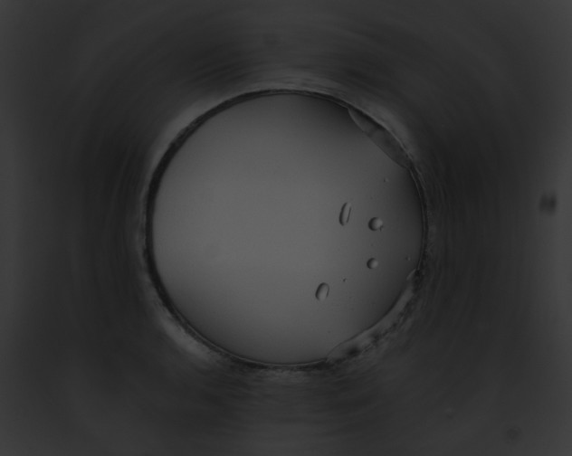 X0000091881136200710031115