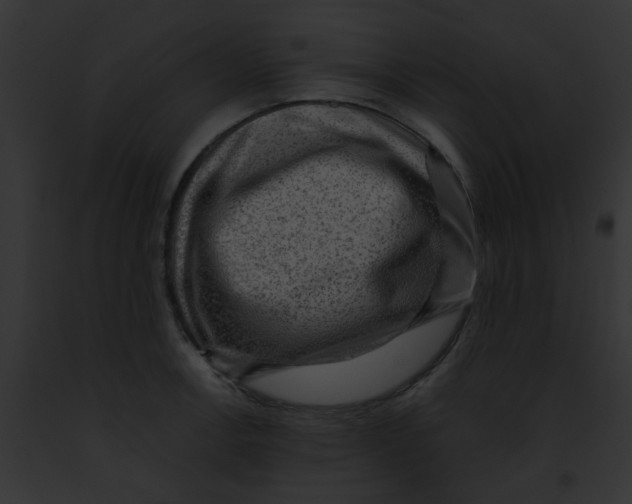 X0000091881138200710031115