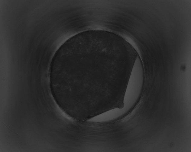 X0000091881141200710031115