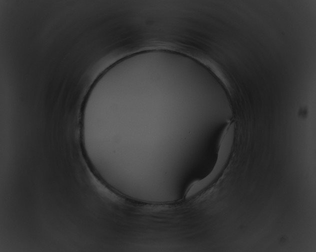 X0000091881143200710031116