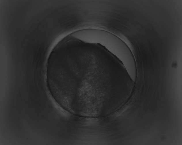 X0000091881144200710031116