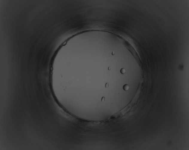 X0000091881147200710031116