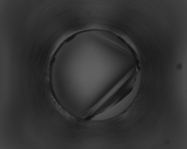 X0000091881148200710031116