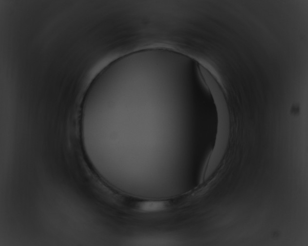 X0000091881151200710031116