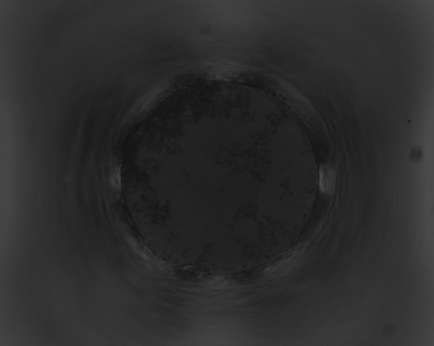 X0000091881155200710031115