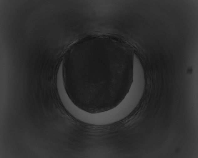 X0000091881156200710031115