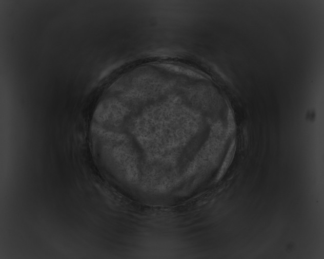 X0000091881158200710031115